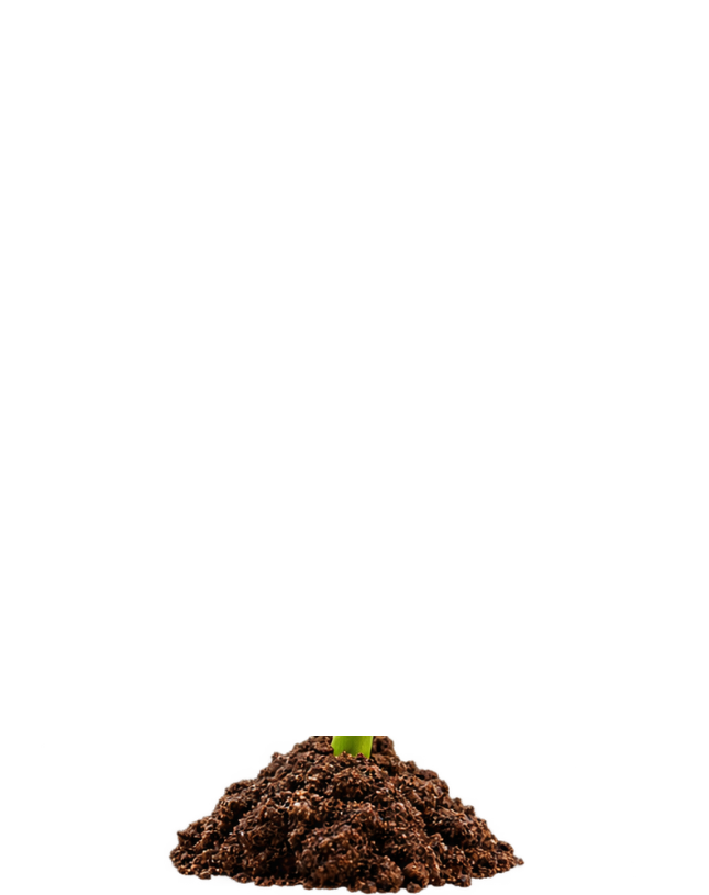Fertile mountain soil clump